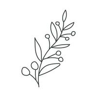 Christmas plant in doodle style. vector