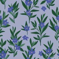 Periwinkle plants seamless pattern. Vector ornament of Vinca minor flowers. Botanical design in cartoon style.