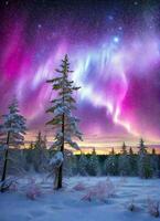 ai generado el Aurora en el cielo luces arriba, cubierto en un hermosa extensión de espumoso nieve con real oscuro verde arboles foto