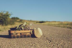 Image of  old suitcase with  flowers on the country road photo