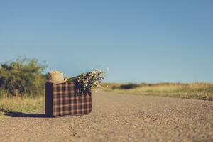 Image of  old suitcase with  flowers on the country road photo