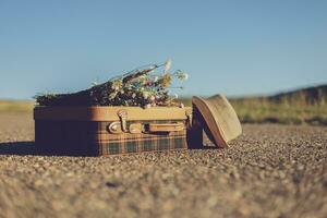 Image of  old suitcase with  flowers on the country road photo