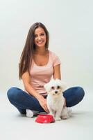 Cute little female maltese dog is hungry and she is waiting for a meal from her owner photo