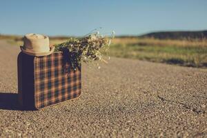 Image of  old suitcase with  flowers on the country road photo