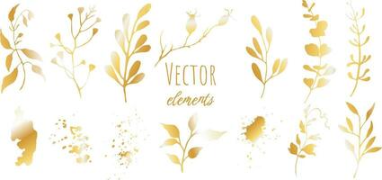 Floral golden set. Hand painted illustration isolated on white background. Vector EPS,