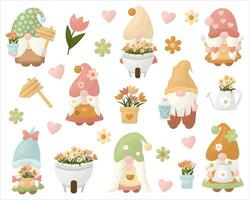 Set of vector illustrations of garden gnomes with flowers.
