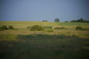 summer landscape poland photo