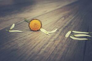 love inscription made of white flower petals on a wooden background photo