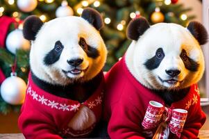 Cute Panda in Christmas sweater. photo