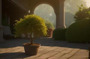 A potted plant sits on a brick patio photo