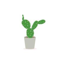 cactus íconos en un plano estilo en un blanco antecedentes. hogar plantas cactus en ollas y con flores un variedad de decorativo cactus con espinas y sin. vector