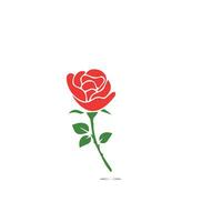 rojo rosas mano dibujado, negro línea Rosa flores inflorescencia siluetas aislado en blanco antecedentes. icono rosas recopilación. vector garabatear ilustración.