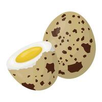 quail eggs. Boiled eggs in a shell. Vector illustration.