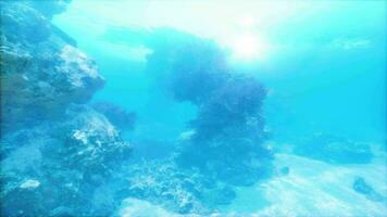 An underwater view of a rock formation in the ocean video