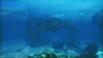 An underwater view of a rock formation in the ocean video