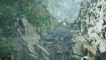 A mountain side with rocks and trees in the background video