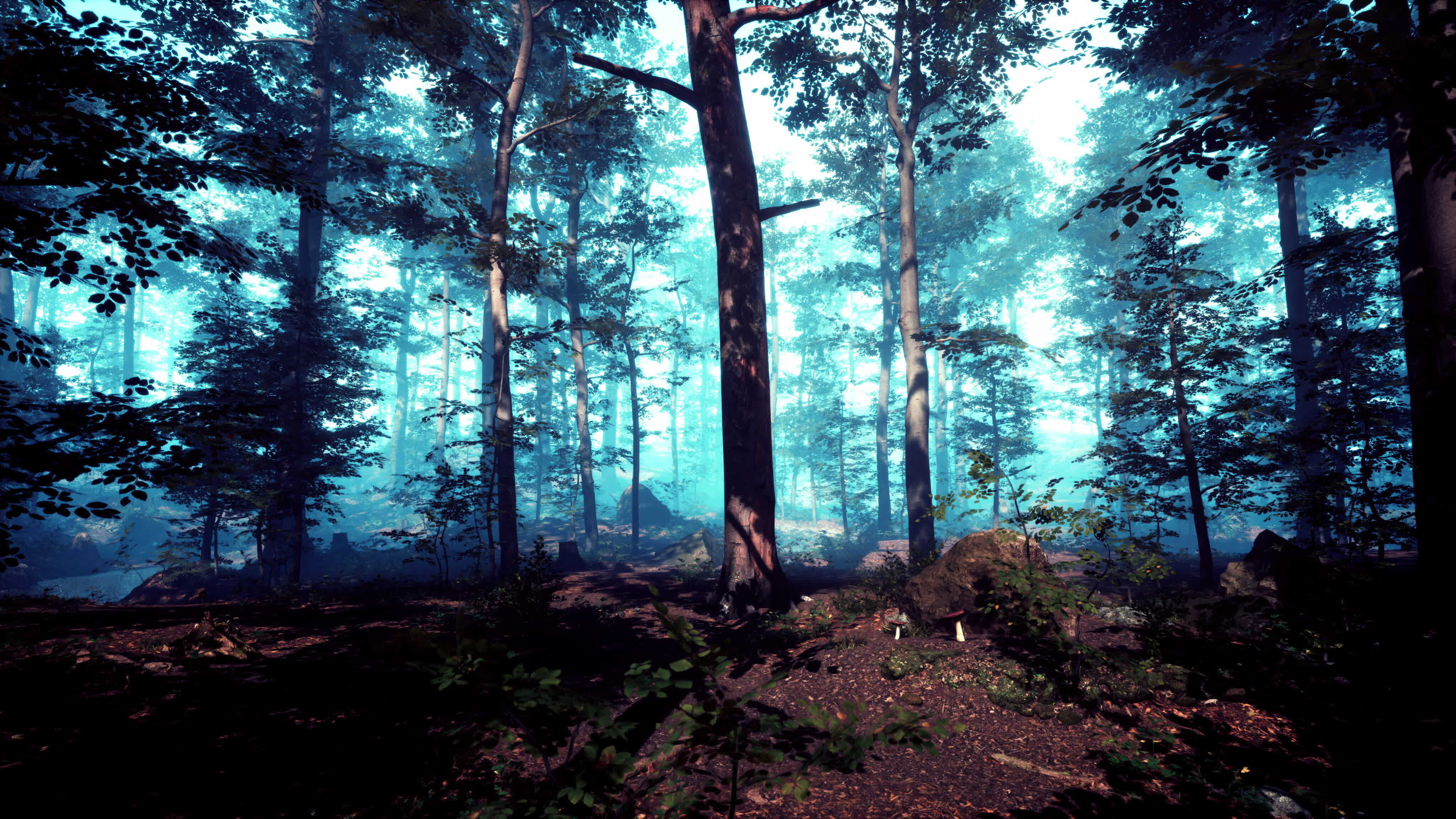 sunbeams-in-foggy-green-forest-34818549-stock-video-at-vecteezy