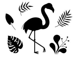 Flamingo vector set of silhouette