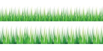 Spring vector illustration with green grass