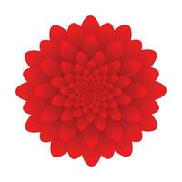 beautiful vector red flower