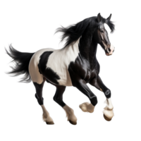 AI generated Black and white horse running clip art png