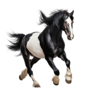 AI generated Black and white horse running clip art png