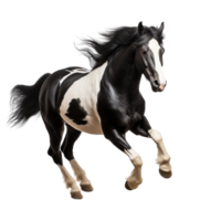 AI generated Black and white horse running clip art png