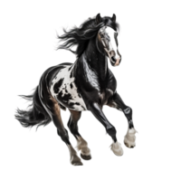 AI generated Black and white horse running clip art png