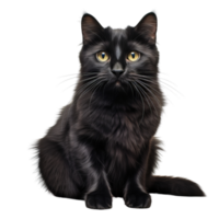 ai généré noir chat agrafe art png