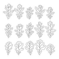Set of vector silhouettes of a realistic shape of oak leaves