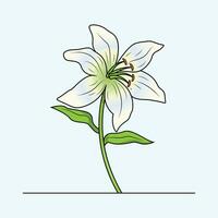lirio flor el ilustración vector
