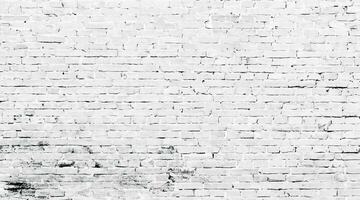 textura de la pared de ladrillo blanco foto