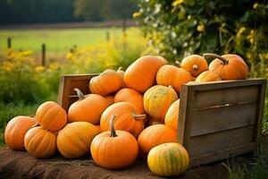 A group of pumpkins sitting on top of a pile of hay, Generative AI photo