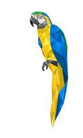 Polygon drawing macaw Parrot on a branch with isolated white background vector illustration