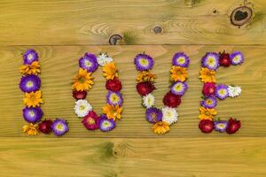 Image of word love made of beautiful flowers on wooden background photo