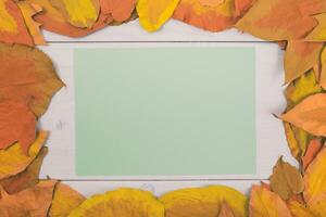 Autumn leaves frame and green paper on white wooden background photo