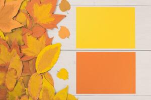 Autumn leaves and yellow and orange papers on a white wooden table photo