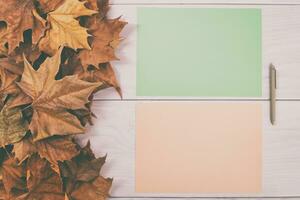 Autumn leaves and blank papers and pen on white wooden background photo