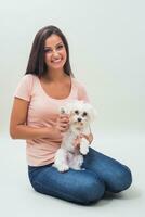 Cute little female maltese dog is looking at camera in arms of young beautiful woman. photo