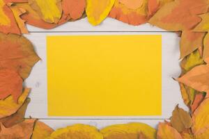 Autumn leaves frame and yellow paper on white wooden background photo