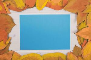 Autumn leaves frame and blue paper on white wooden background photo