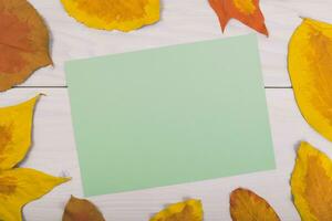 Autumn leaves and green paper on a white wooden background photo