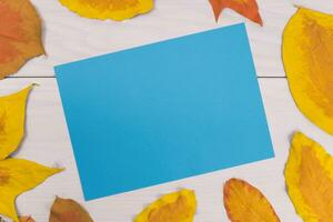 Autumn leaves and blue paper on a white wooden background photo