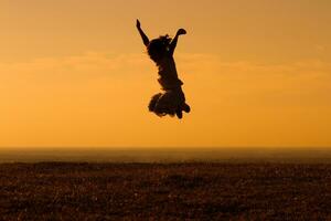 Happy little girl jumping in the nature photo