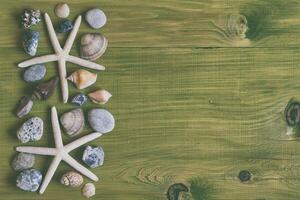 Sea shells and starfish on a green wooden background photo