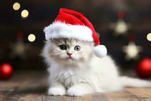 cute cat wearing Santa Claus hat portrait photo