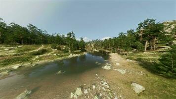 An aerial view of a river surrounded by trees video