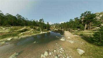 a aéreo Visão do uma rio cercado de árvores video