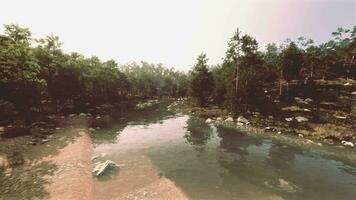 A river running through a forest filled with trees video