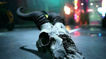 A close up of a animal skull on a street video